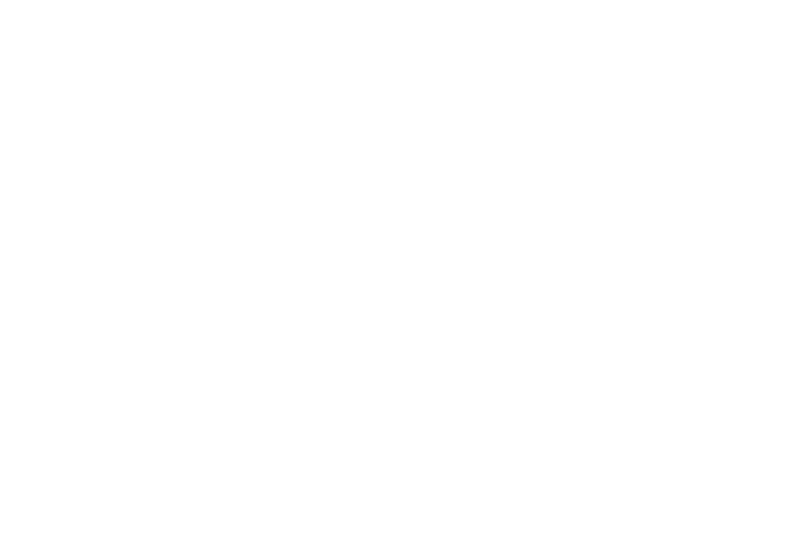 A simple white icon of a car viewed from the front.