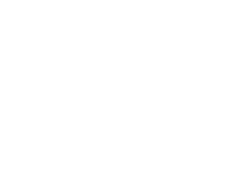 Bowery Point Bowery Point