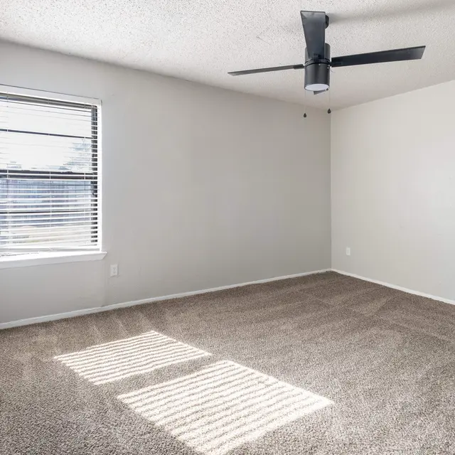 A spacious empty room with carpeted flooring, a ceiling fan, and a window allowing natural light to enter.