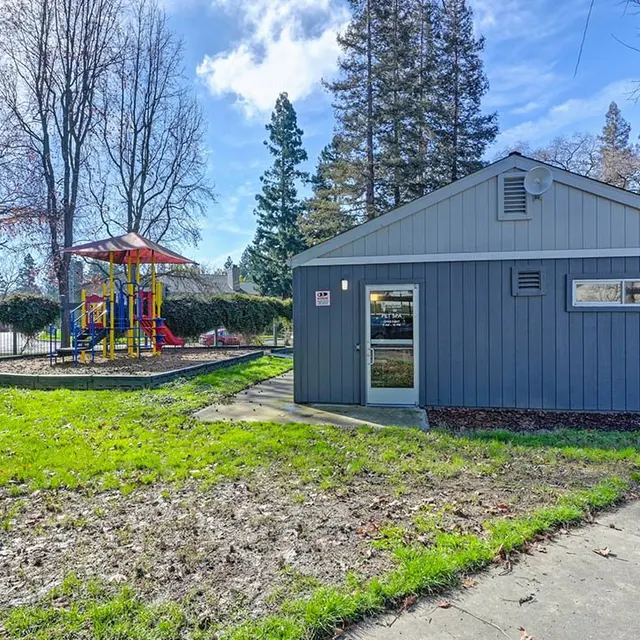 View of a gray building with large windows next to a playground in a park, surrounded by tall trees and blue sky.