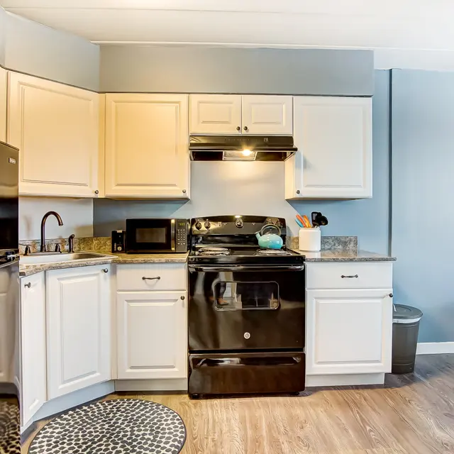 A corner kitchen with black appliances, cream-colored cabinets, and light blue walls. The kitchen features a black refrigerator, an oven, a microwave, and a sink. A round rug is on the wooden floor, and there's a wall-mounted TV in the background.