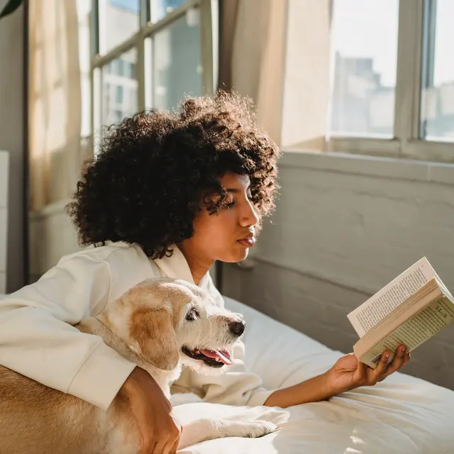 A woman with curly hair sits on a bed reading a book while cuddling a small dog. Sunlight streams through large windows in the background, creating a cozy atmosphere.