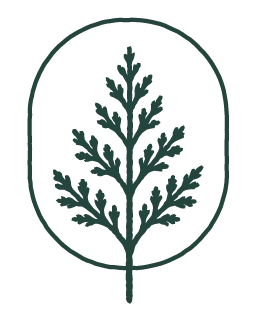 A minimalist design featuring a single leaf branch inside an oval outline