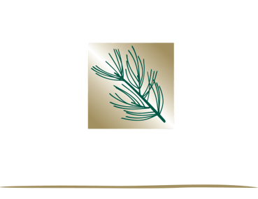 Bellfort Pines
