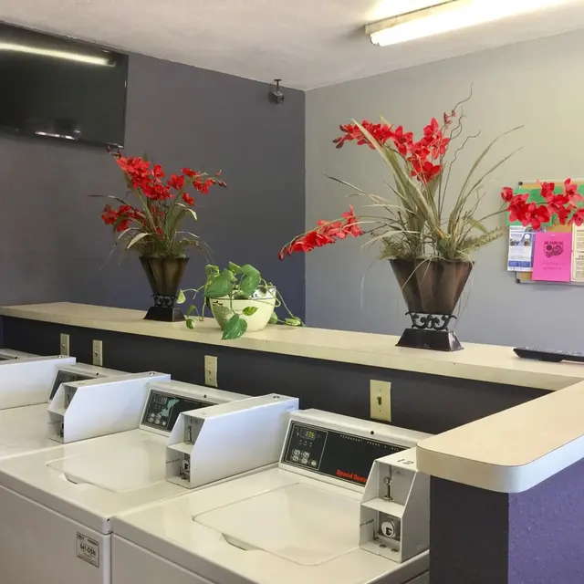 Brisa Apartments - Laundry facility