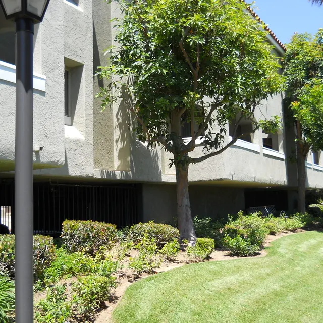 Yorktown Apartments - Grass, Building, Tree
