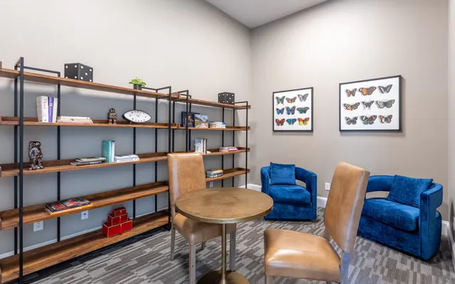 Austin Creekview - Chair, Shelf