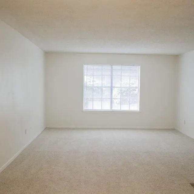 Live Oak - Floor, Corner, Indoors