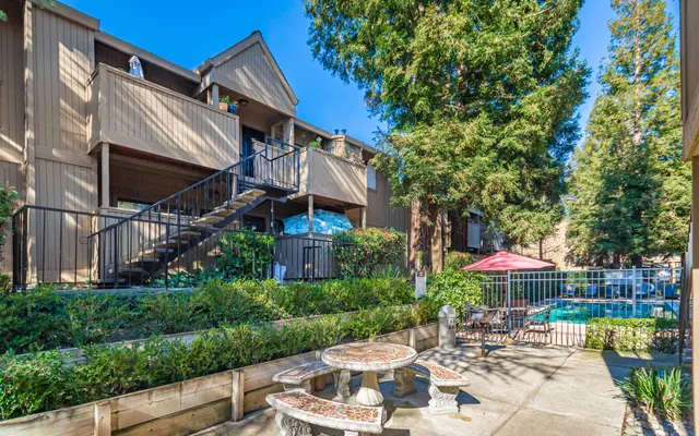 Donner at Fair Oaks - Nature, Outdoors, Scenery