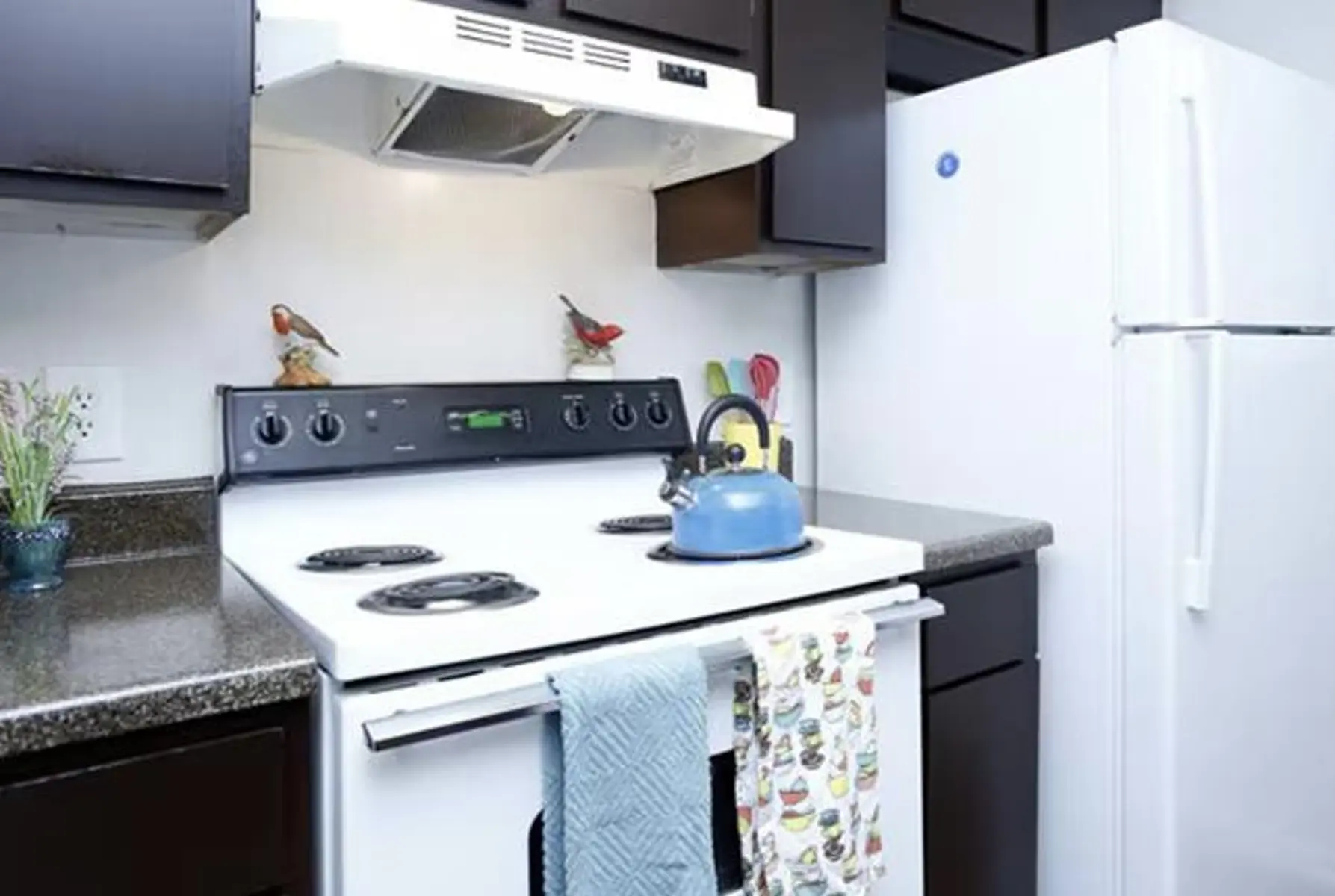 a62ac4de285546d7a08499afdab4d10f.jpg Indoors, Kitchen, Cooktop