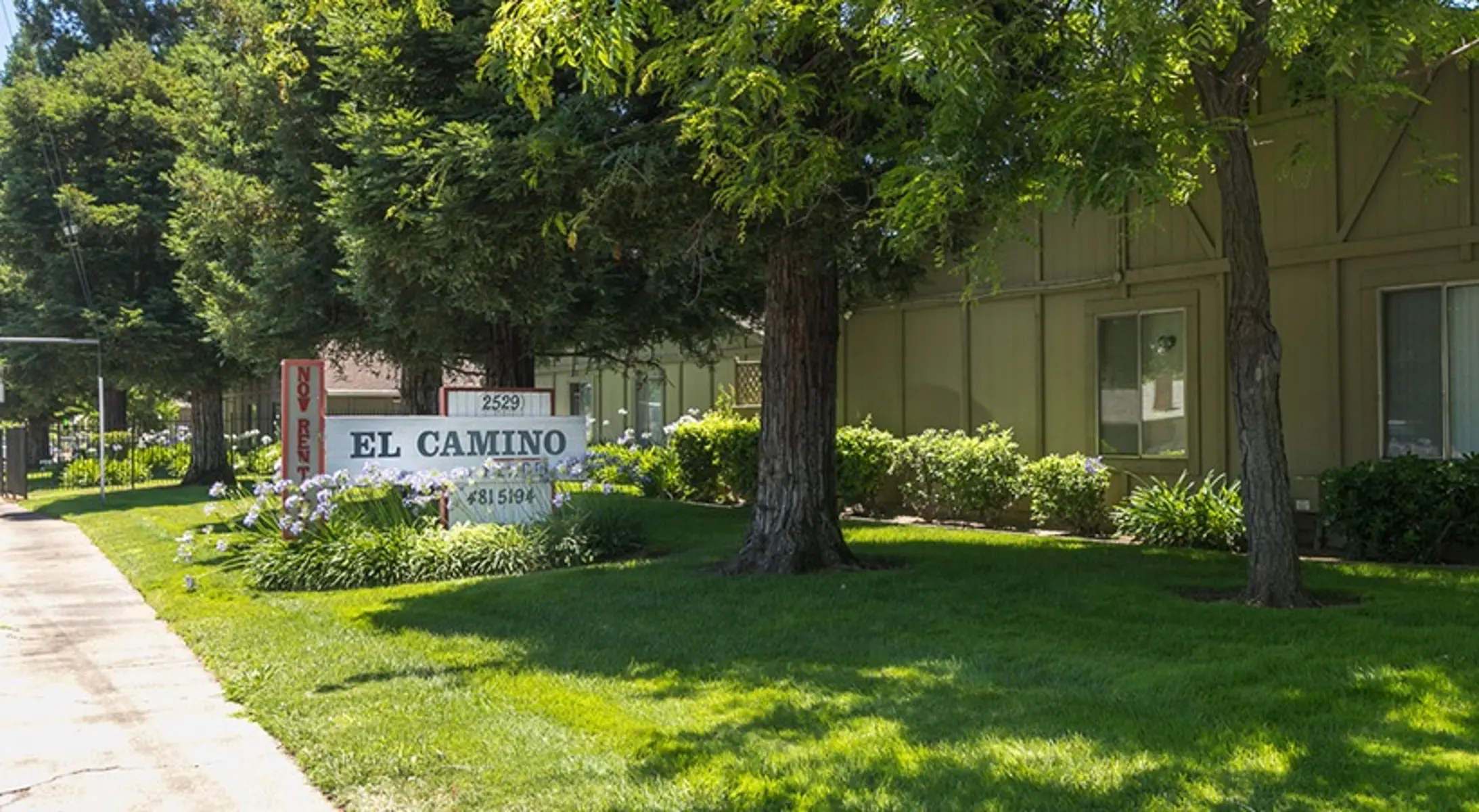 El Camino Place - Bush, Lawn, Park