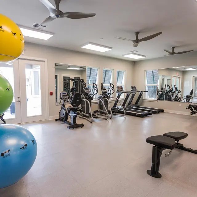 Belforest Apartments - Ceiling Fan, Working Out, Gym