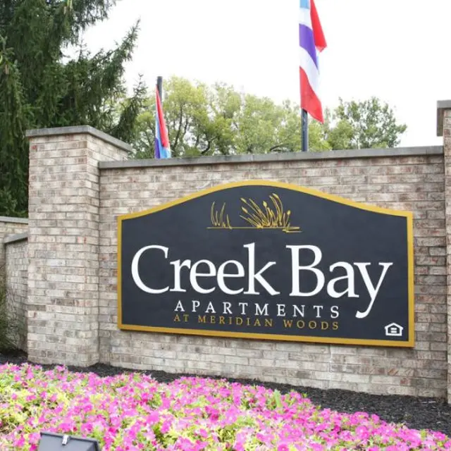 Creek Bay - Grass, Plant