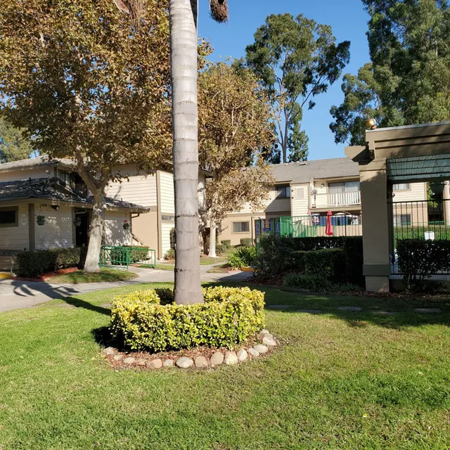 Amberwood Apartments - Grass, Neighborhood, Housing
