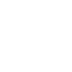 Palm Shores