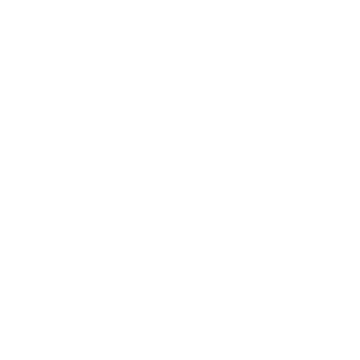 Palm Shores