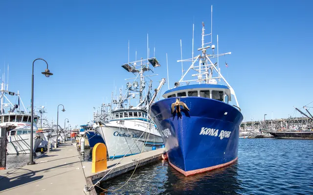 The Ballard Independent - Neighborhood Marina The Ballard Independent - Neighborhood Marina