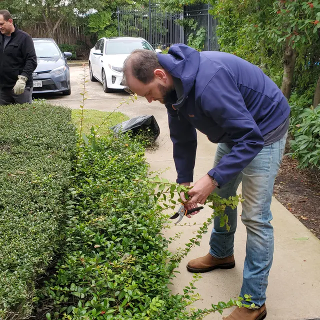 Dinerstein Dinerstein - Garden