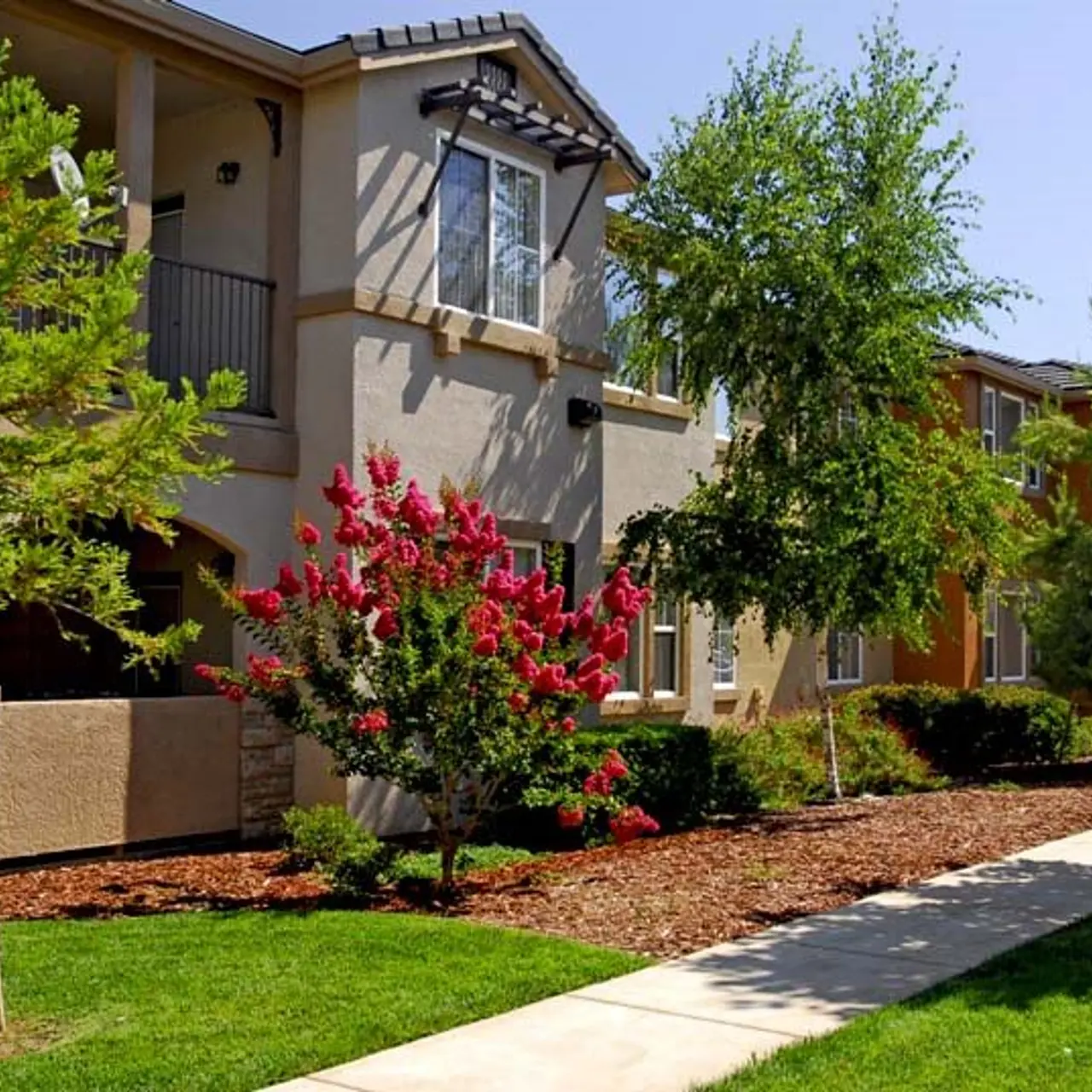 Lake Point - Tree, Yard, Grass