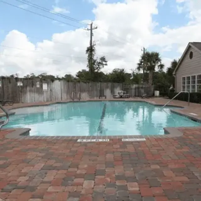 Deerwood Pines - Backyard, Nature, Outdoors