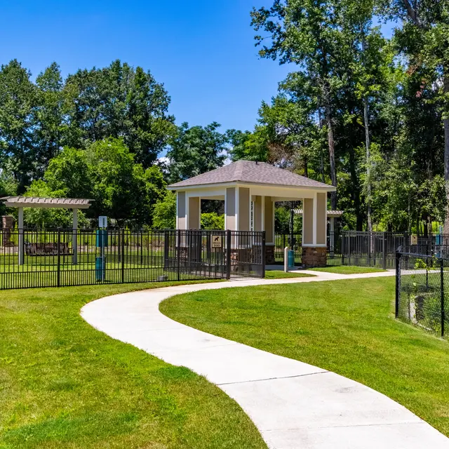 Summer Lake Summer Lake - Path, Grass, Plant