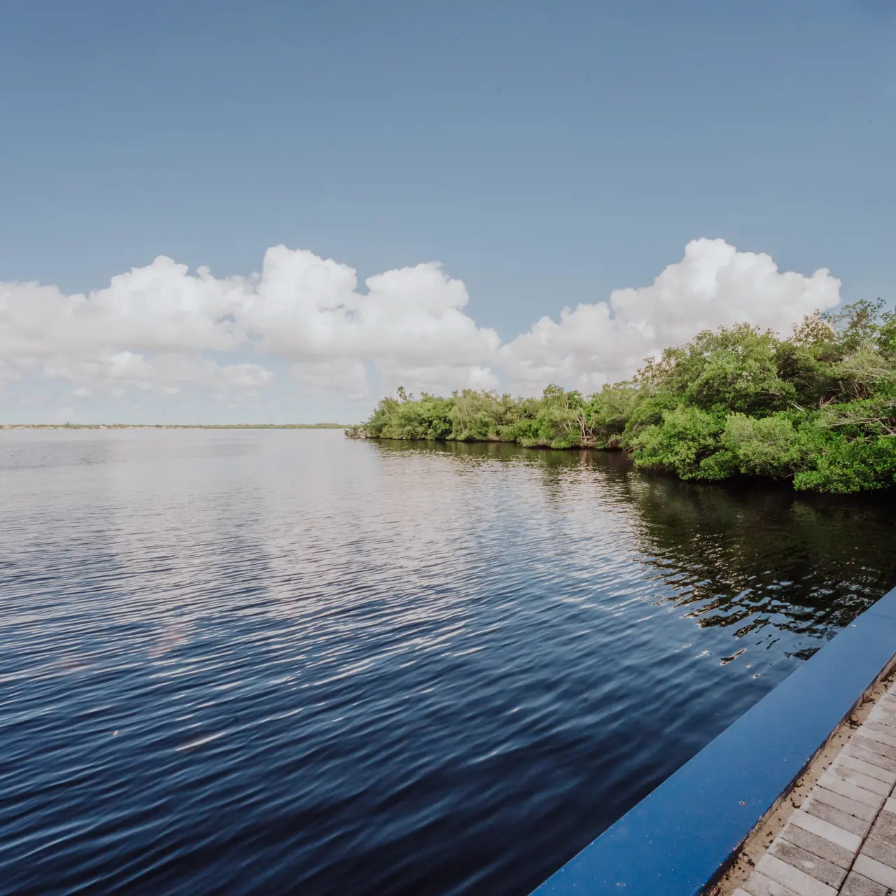 Harbor Grand, Fort Myers, FL 33916 (48).jpg