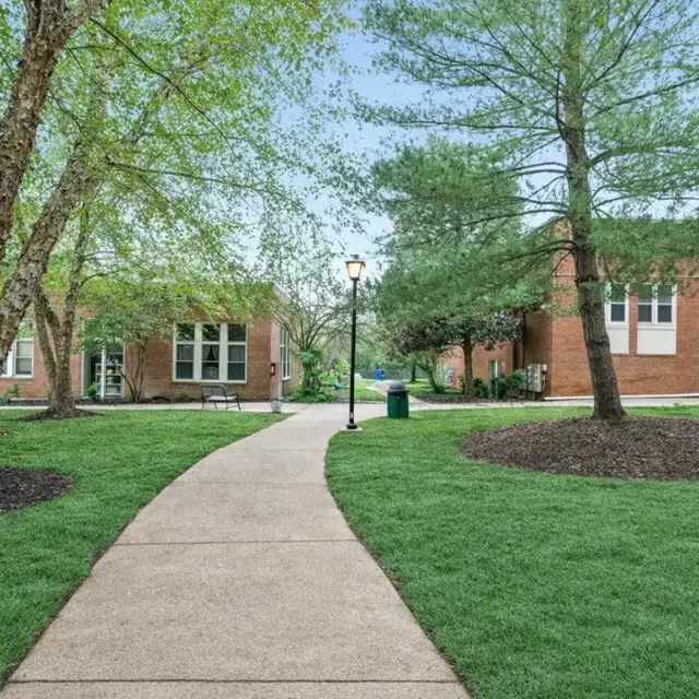 A landscaped pathway surrounded by trees and brick buildings on a campus.