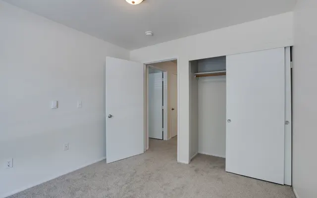 A minimalist empty bedroom featuring beige carpet, white walls, and two open closet doors against the far wall. A single overhead light fixture illuminates the space.