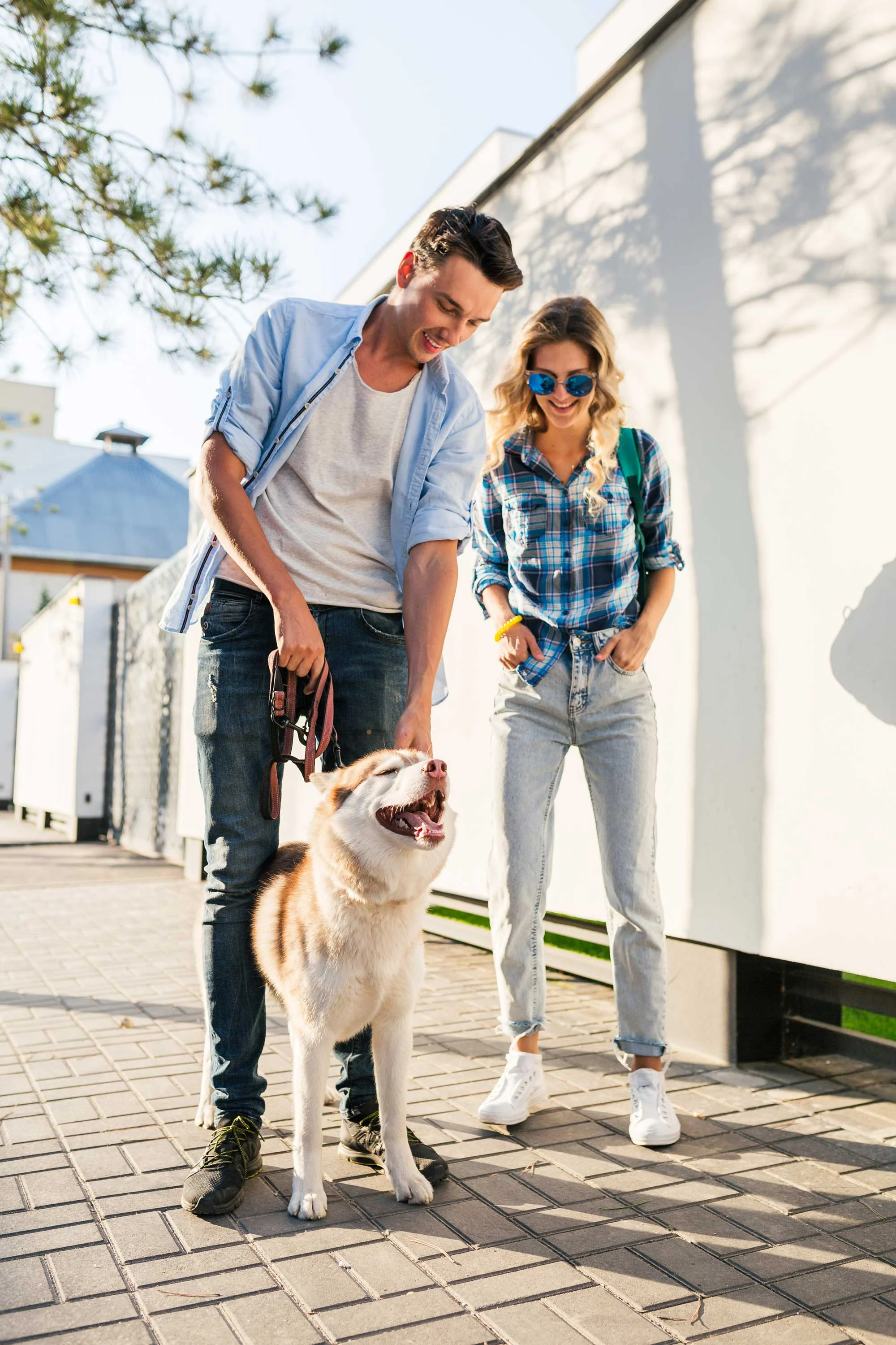 A young man and woman are enjoying a sunny day while walking their dog. The man is holding the dog's leash and smiling at the dog, which is a fluffy breed, while the woman stands next to him, wearing sunglasses and holding a treat. They are outdoors on a patterned pavement with trees in the background.
