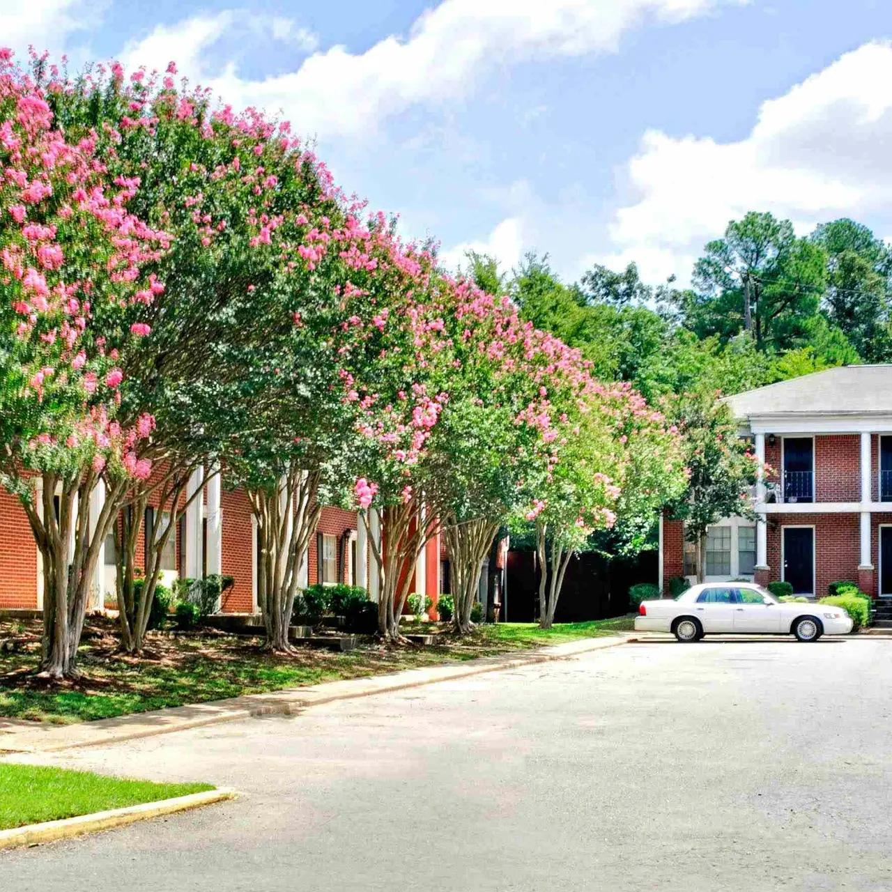 Markham Oaks Markham Oaks - Car, Yard, Plant