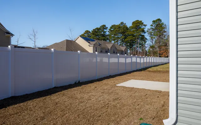 The Cape at Sandy Neck - Nature, Outdoors, Yard