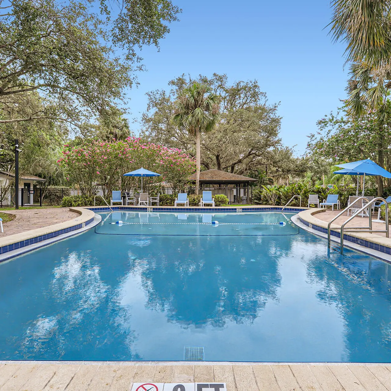 Community pool surrounded by tree's, umbrellas for shade and lounge chairs