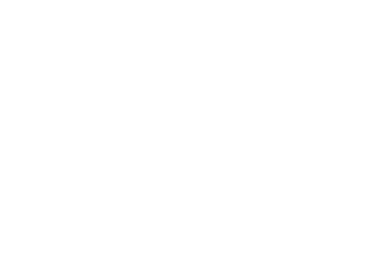 The Villages at McCullers Walk The Villages at McCullers Walk