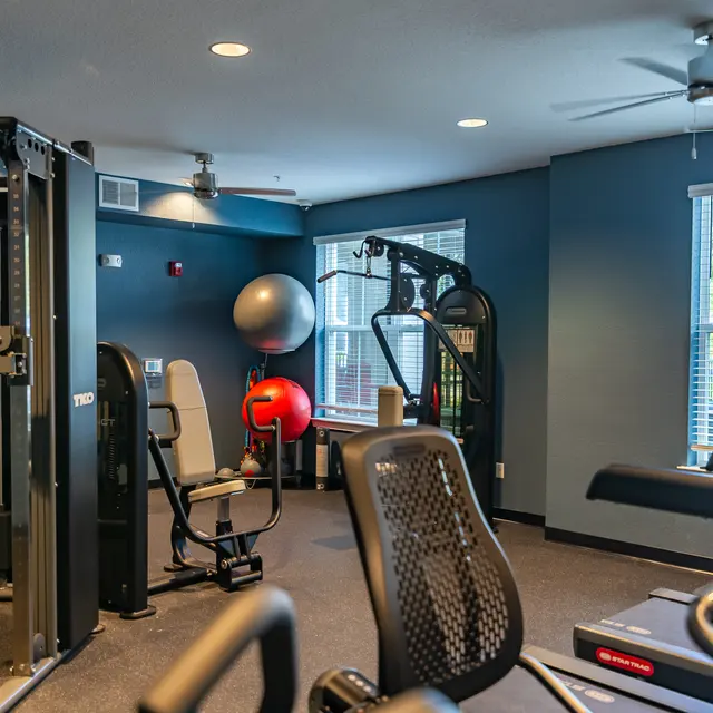 Rochester Park - Ceiling Fan, Device, Electrical Device