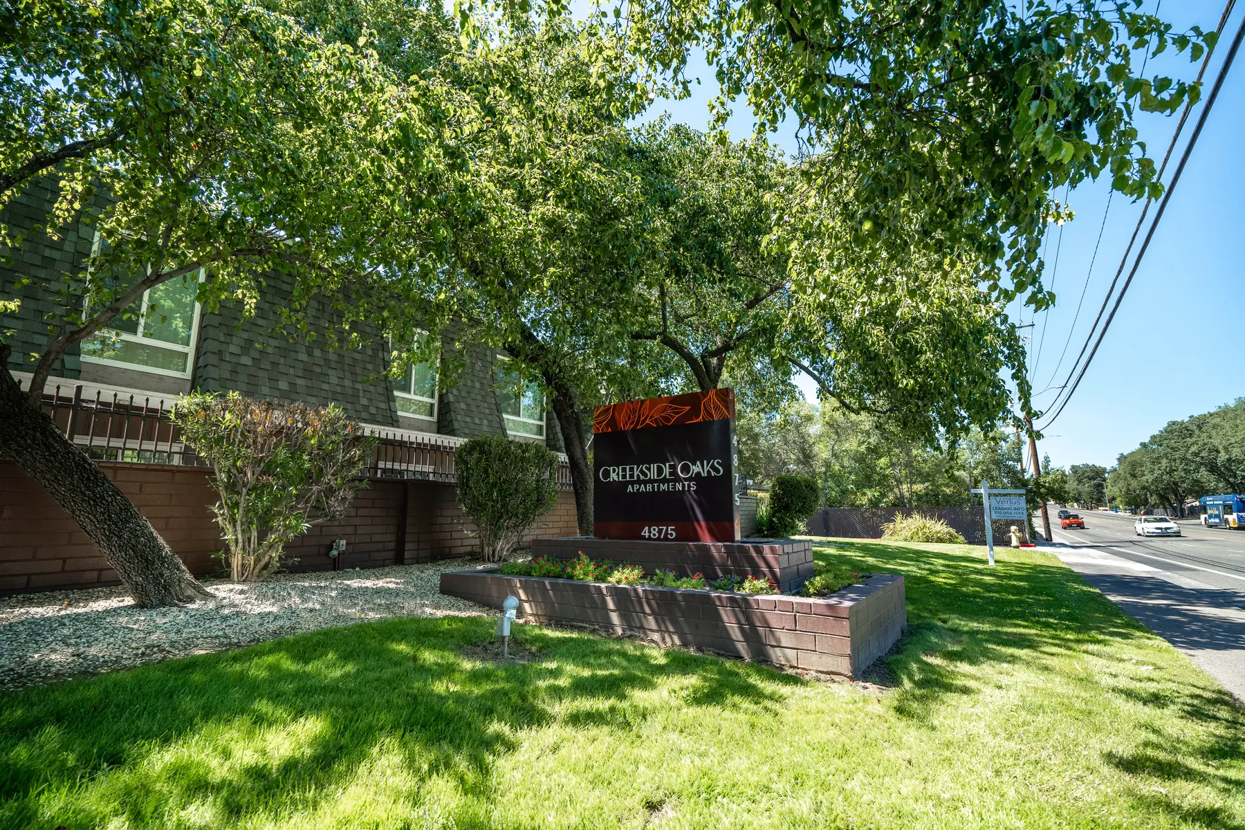 Creekside Oaks - Grass, Park, Oak