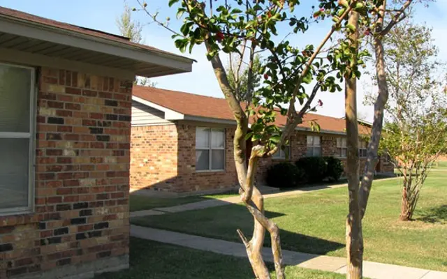 Bayou Galion Bayou Galion - Plant