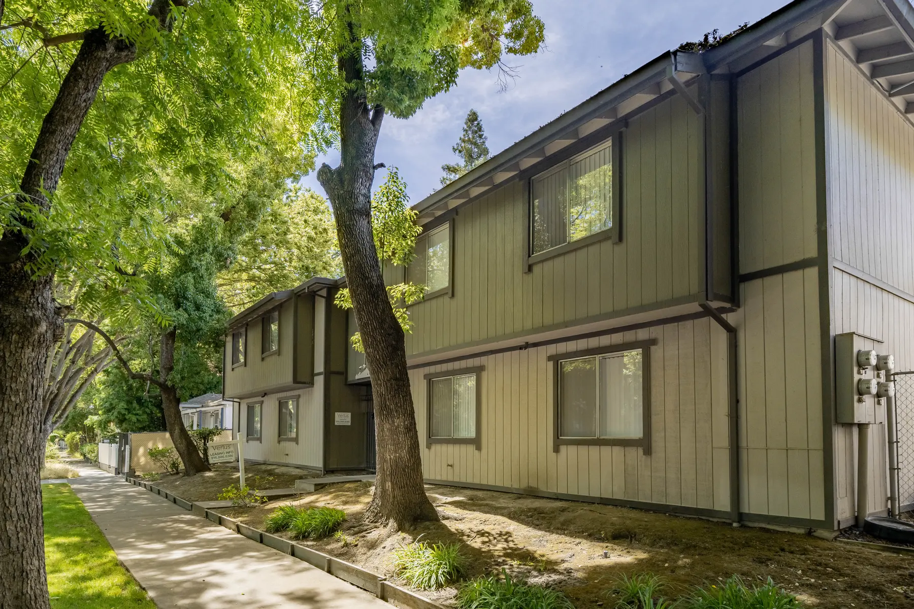 U Street - Neighborhood, City, Shelter