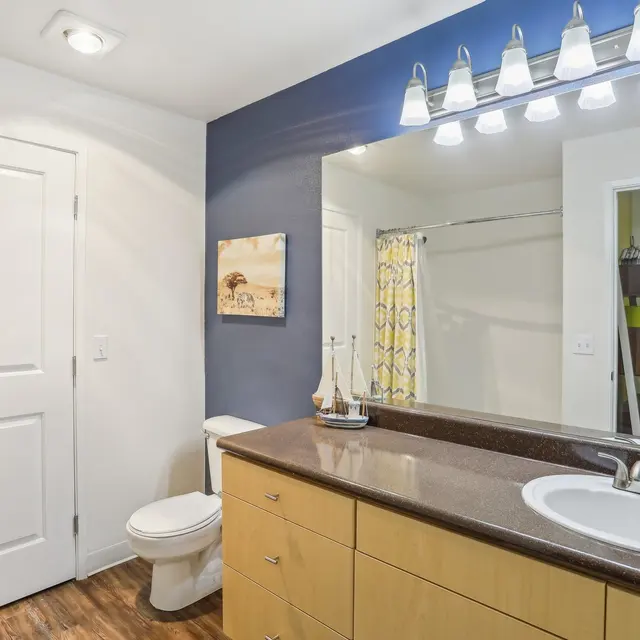 The Preserve at Cedar River - Sink, Plant, Sink Faucet