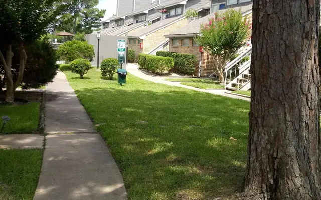 Willow Run Apartments - Path, Tree