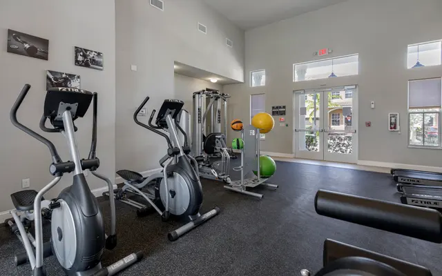 Palm Breeze Palm Breeze - Working Out, Fitness, Sport