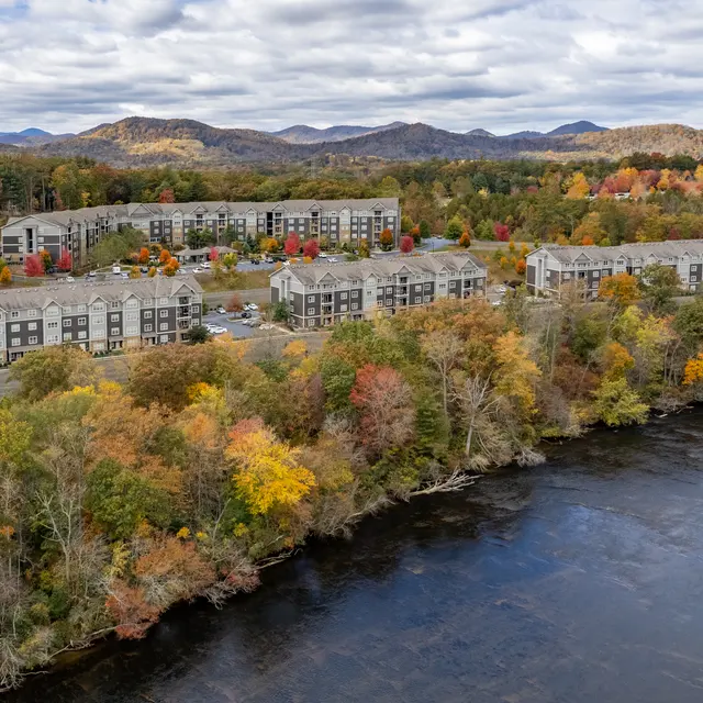 Aventine Asheville - Building, Outdoors, Tree