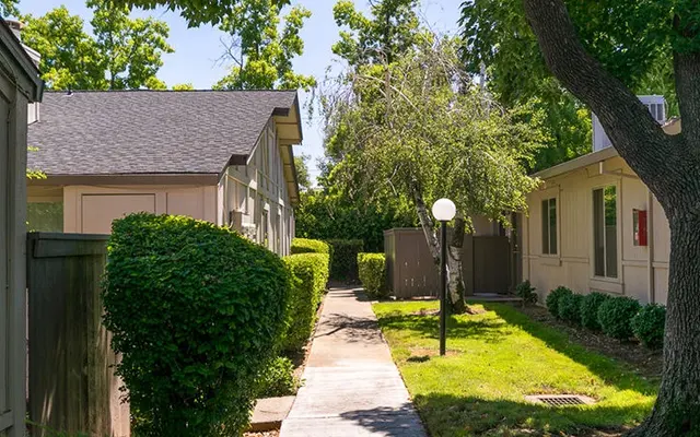 Bradshaw Place - Bush, Path, Tree