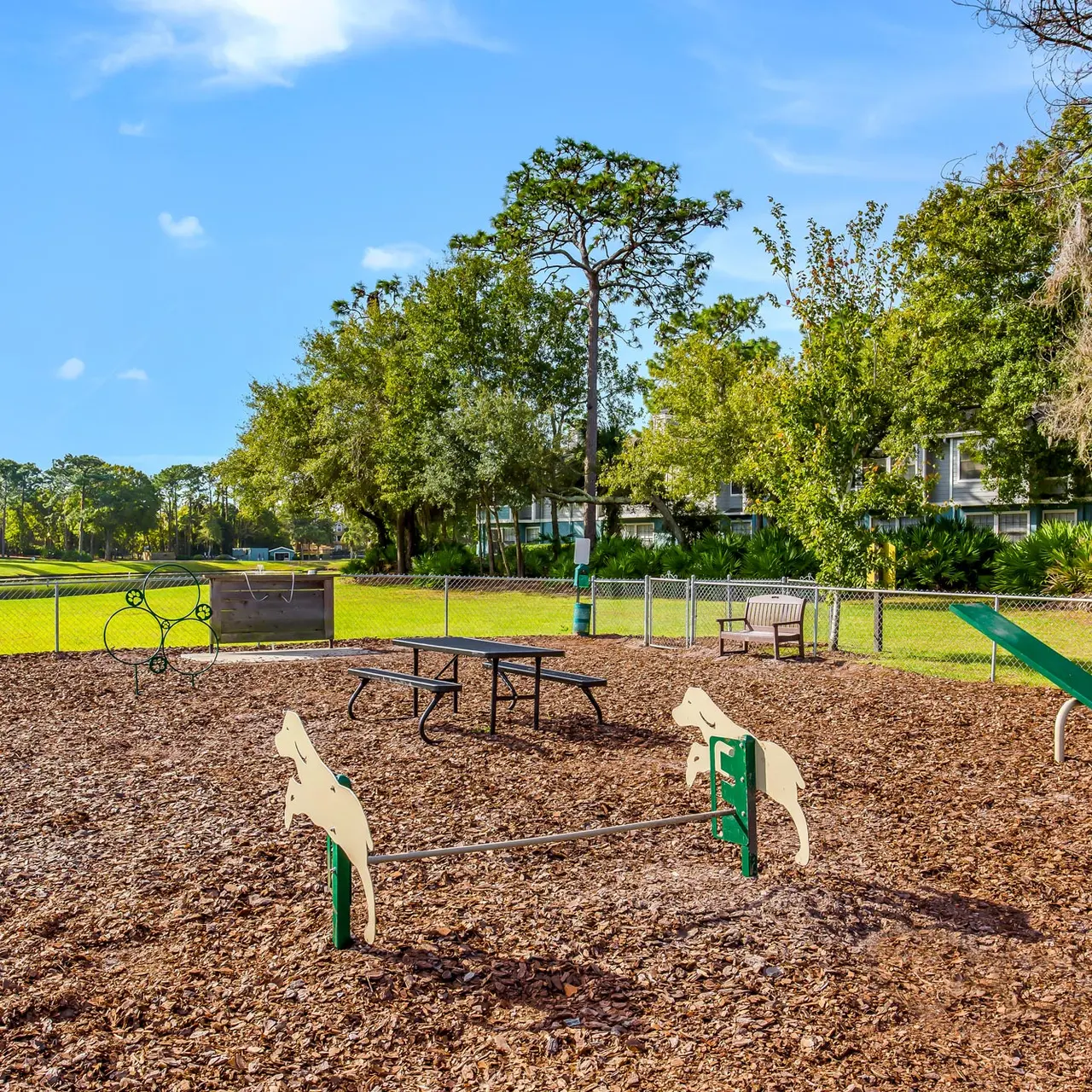fenced in dog park