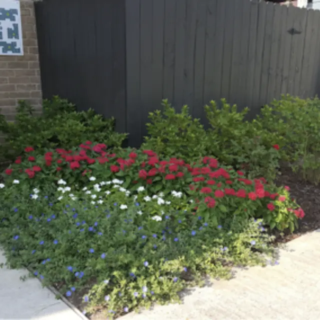 Grove on Gladstell - Potted Plant, Jar, Planter