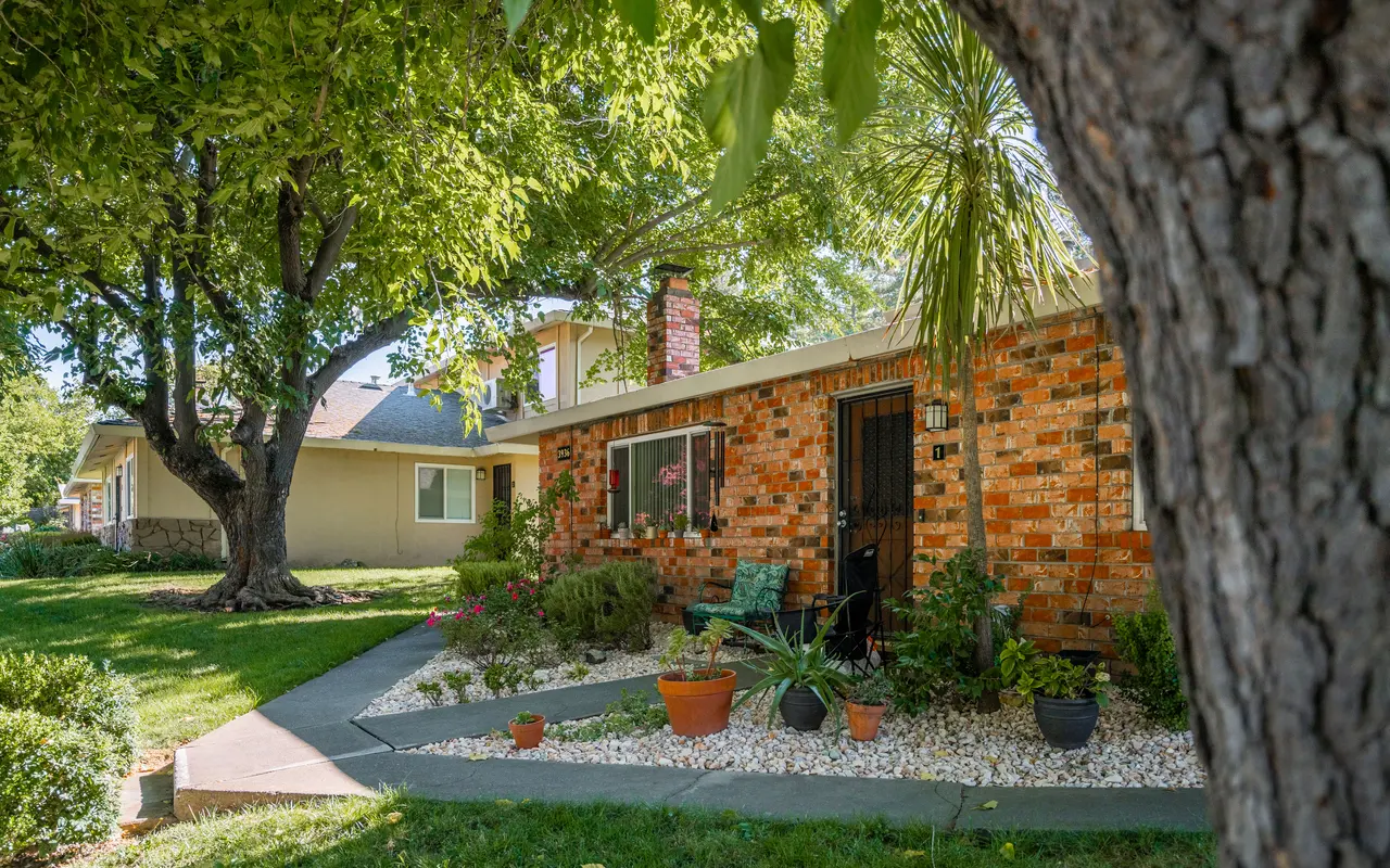 Queenston Plaza - Plant, Tree, Backyard