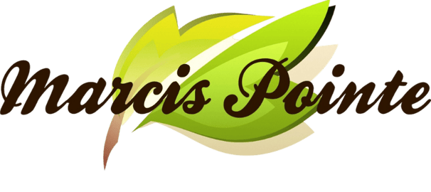 Marcis Pointe