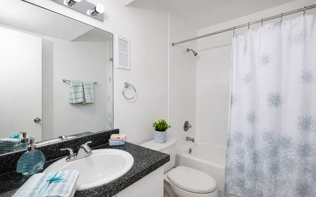 Contemporary Bathroom Design A modern bathroom featuring a shower stall with a white curtain, a round sink with a dark granite countertop, and a mirror above it. The decor includes light-colored walls and a small plant on the counter. A towel and toiletries are placed near the sink.