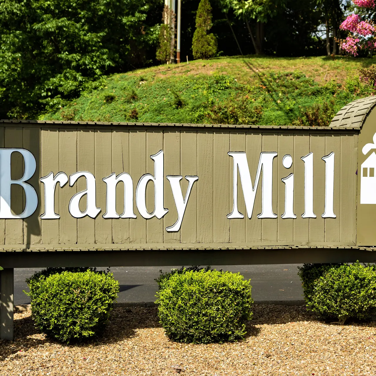 Brandy Mill - Outdoors, Yard, Plant