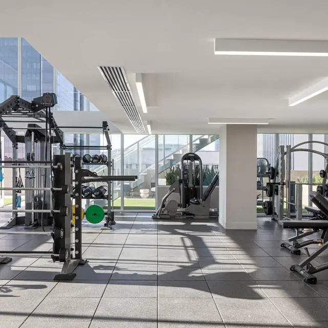 Hallasan - Working Out, Fitness, Gym