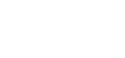 Venetian Bridges